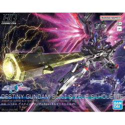 HG 1/144 Destiny Gundam...