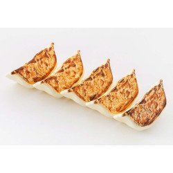 Gyoza Plastic Model Kit