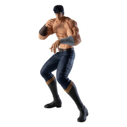 FIST OF THE NORTH STAR...